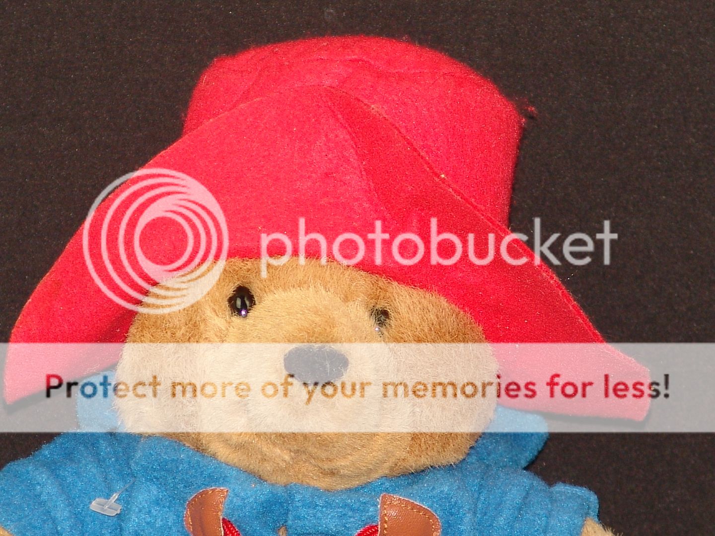 2001 made in sri lanka rainbow design paddington teddy bear